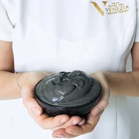 Terme Venezia 아바노테르메