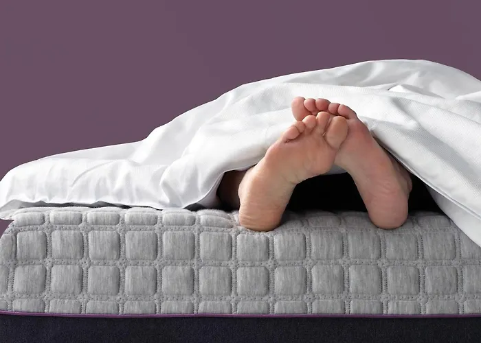 Terme Venezia 호텔 4*