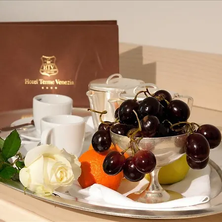 Terme Venezia Hotel Abano Terme
